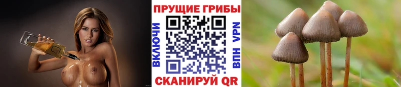 Псилоцибиновые грибы прущие грибы  Алексин 